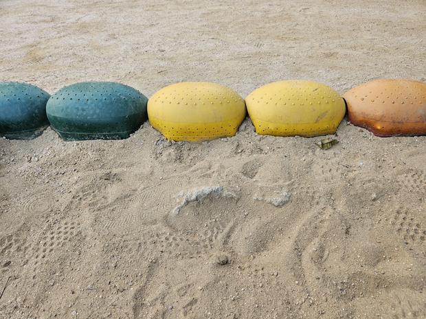 학교 운동장 흑산면태도출장소 어린이집  안전 유지보수 전문가로부터 안전하고 튼튼한 운...