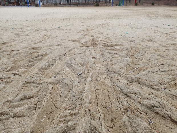 학교 운동장 잡초 제거, 안전성까지! 전문 시공으로 최고 수준 유지!