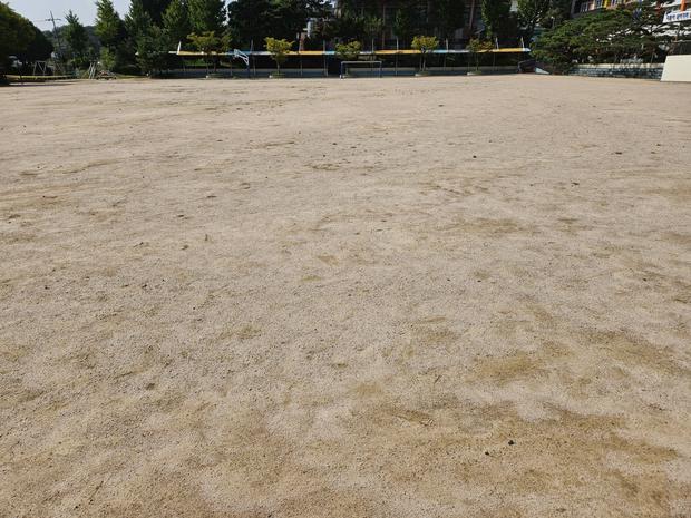 흑산면대둔도출장소 운동장 모래보충, 전국산업안전 100% 보증!