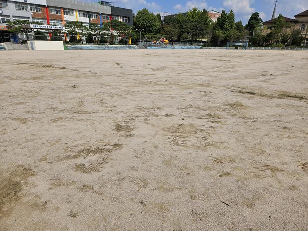 하의면고등학교 운동장 잡초 제거, 전문 시공으로 안전하고 효율성 UP!