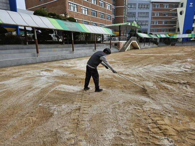 운동장 관리, 안전 100%? 전문가 팁 알려 드립니다!