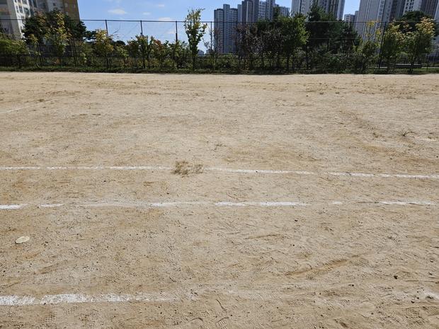 팔금면중학교 운동장, 안전한 환경 맞춰! 전국산업안전 서비스 제공