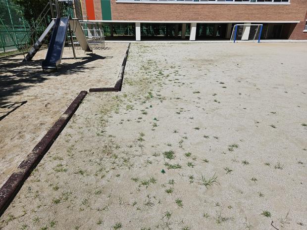 익산 어린이집 운동장 마사토 관리, 튼튼한 건설부터 유지보수까지 케이스터디움!