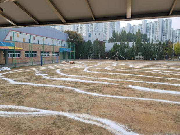 김제 시 병설유치원 운동장 잡초 관리, 케이스터디움 전문가로 완벽하게 해결하세요!