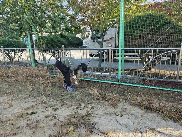 완주군 초등학교 운동장, 안정적인 관리와 쾌적한 운동 환경을 위한 케이스터디움 전문가! 관련 이미지