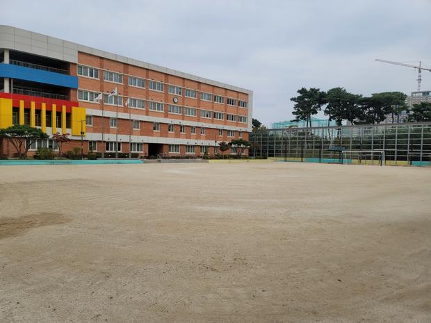 완주군 초등학교 운동장 잡초 관리, 케이스터디움으로 완벽하게 해결! 관련 이미지