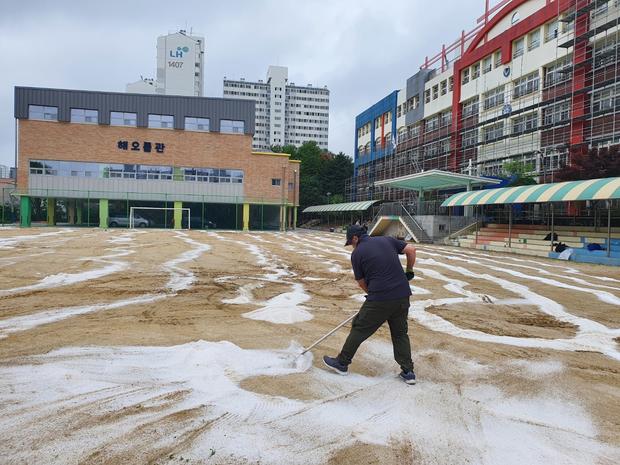 완주군 중학교 운동장 잡초 관리, 전문 시공으로 건강하고 아름다움 유지! 관련 이미지
