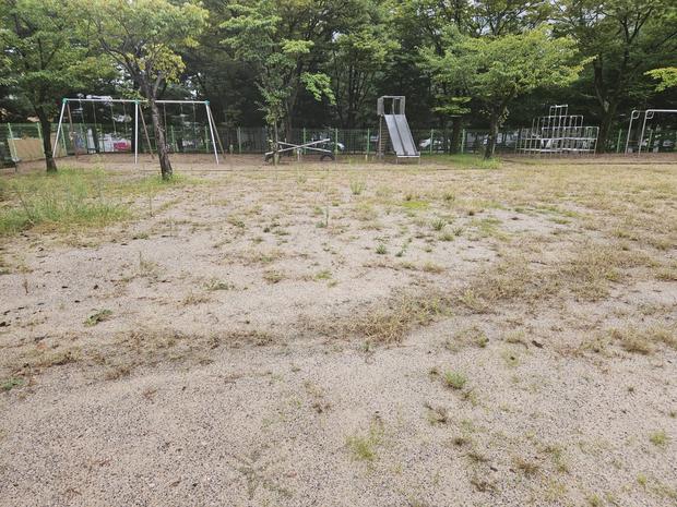 진안군 병설유치원 운동장 마사토관리, 학교 시설 관리 전문 케이스터디움으로 안전하고 ... 관련 이미지