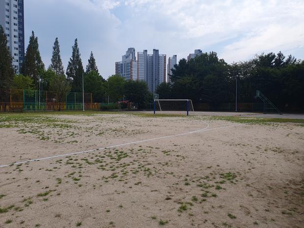 순창군 고등학교 운동장 관리 & 유지보수 | 케이스터디움, 안전하고 튼튼한 장비! 관련 이미지
