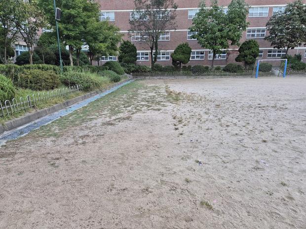 고창군 고등학교 운동장 혁신 관리, 케이스터디움으로 완벽한 안전과 기능! 관련 이미지