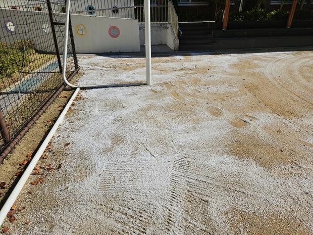 고창군 대학교 운동장 관리: 전문 시공으로 깨끗하고 안전한 활동 공간 만들어보세요! 관련 이미지