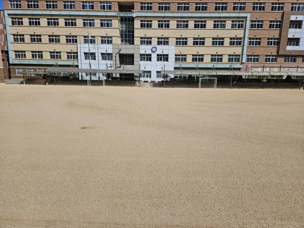 전주 병설유치원 운동장, 케이스터디움  ?  마사토관리로 안전하고 장기적인 보존! 관련 이미지