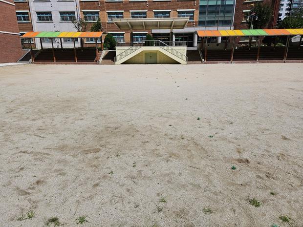 전주 중학교 운동장 마사토관리, 혁신적인 시공으로 쾌적하고 안정된 공간 만들어! 관련 이미지