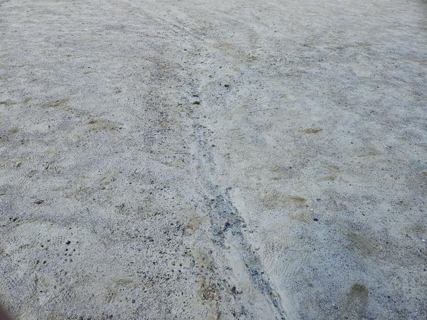 익산 어린이집 운동장, 케이스터디움 전문가로 안전하고 쾌적하게! 관련 이미지