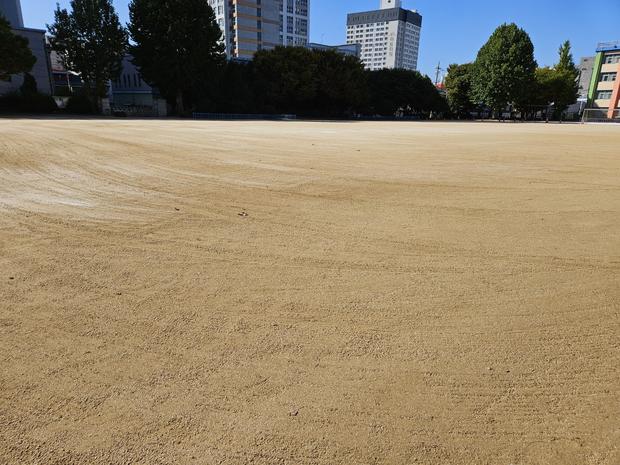 익산 어린이집 운동장 잡초 관리, 케이스터디움으로 완벽하게! 관련 이미지