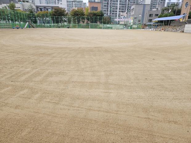 김제 초등학교 운동장 잡초 관리, 케이스터디움 전문가로 완벽하게 해결하세요! 관련 이미지