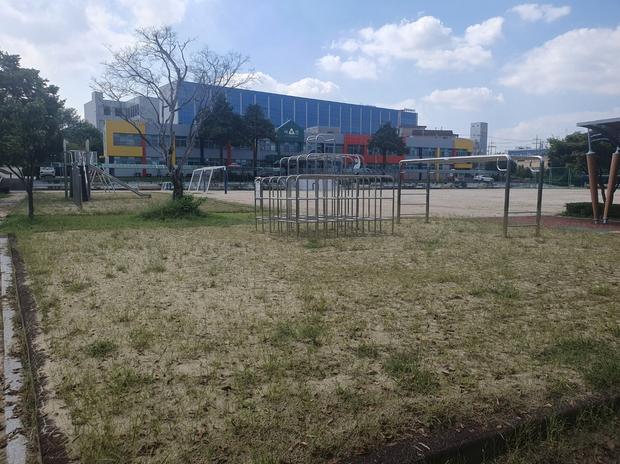 서울초등학교 운동장 다짐작업, 전문 시공으로 20년 경험, 안전과 기능 강화! 관련 이미지