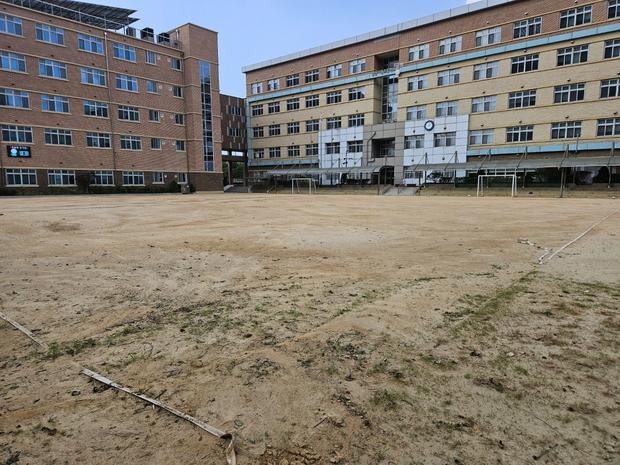 서울초등학교 운동장 천일염 대비, 케이스터디움으로 튼튼하게! 관련 이미지