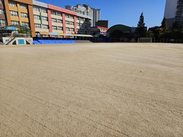 서울중학교 운동장 마사토보충, 전문 케이스터디움으로 걱정 끝! 관련 이미지