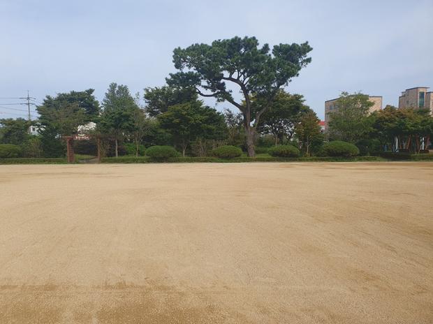 서울중학교 운동장 롤러 작업, 전문 케이스터디움으로 건강하고 안전한 놀이터를 만들어보세요! 관련 이미지