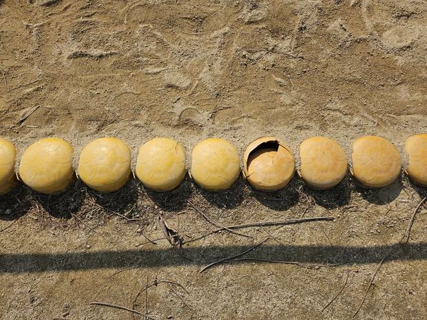 서울중학교 운동장 포크레인, 케이스터디움이 해결하는 혁신적인 공간 만족! 관련 이미지