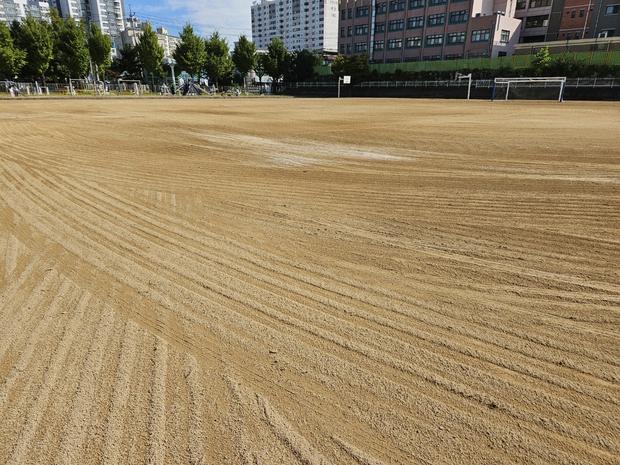 서울고등학교 운동장 관리,  전문성으로 건강한 스포츠 환경 만들어 줄까? 관련 이미지