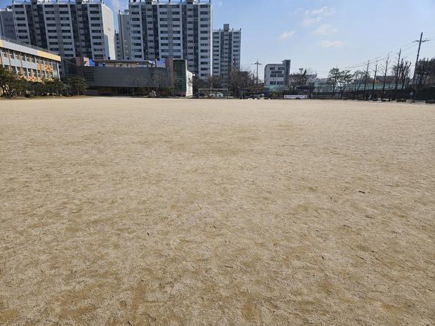 서울고등학교 운동장 라인 포인트 제거: 전문 시공으로 쾌적한 공간 만들기! 관련 이미지