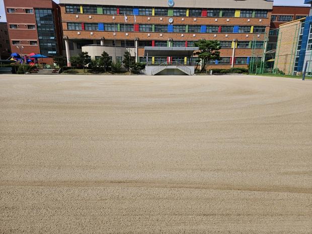 서울고등학교 운동장 잔디 제거, 케이스터디움으로 최신 기술로 안정적인 운동 공간 만들기! 관련 이미지