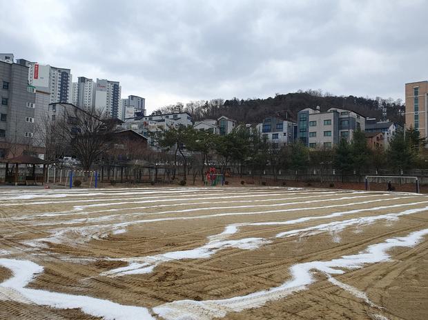 과천중학교 운동장 관리, 케이스터디움으로 탁월한 수준의 서비스! 관련 이미지