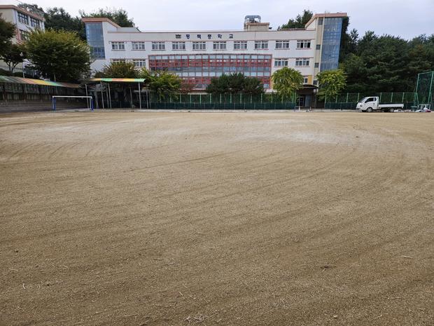 과천중학교 운동장 바브켓 재설치, 케이스터디움으로 완벽한 만족! 관련 이미지