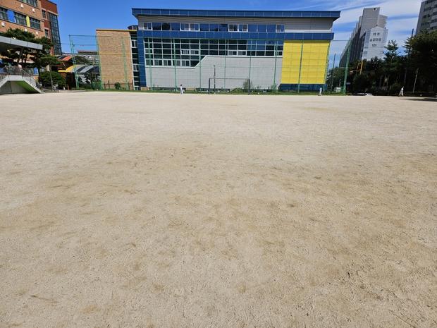 과천중학교 운동장 잡초 제거: 전문 시공으로 신뢰를 위한 최적화! 관련 이미지