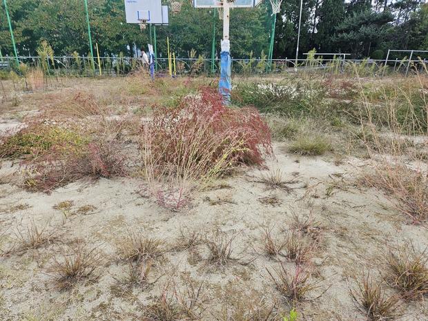 과천고등학교 운동장 바브켓 작업, 혁신 기술로 안전하고 수명 연장! 관련 이미지