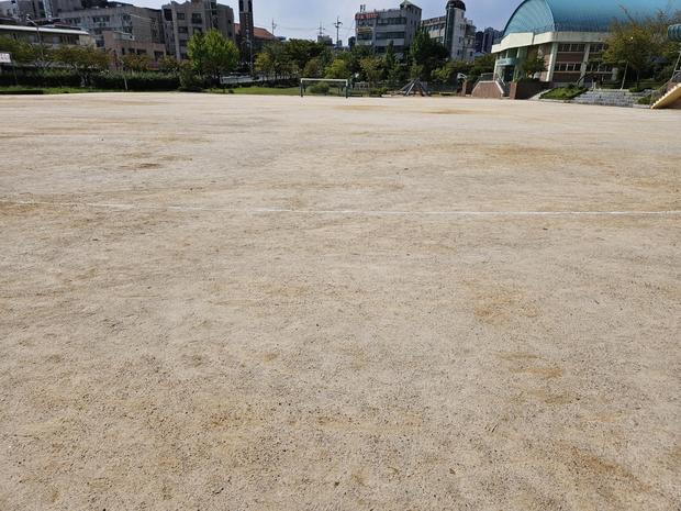 과천 어린이집 운동장 라인 포인트 제거, 꼼꼼한 전문 시공으로 안전하고 환경 친화적 ... 관련 이미지