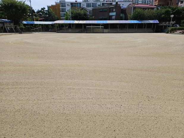 경기초등학교 운동장 마사토 충진공사: ? 탁월한 성능, ? 안전성까지, 케이스터디움에... 관련 이미지