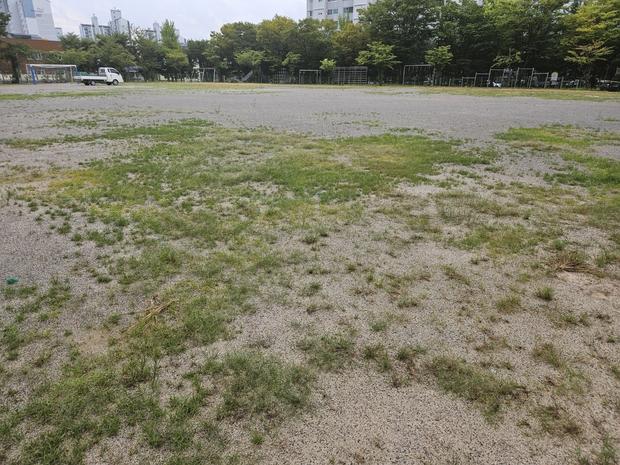 경기중학교운동장 잡초 제거, 케이스터디움으로 완벽한 관리! 관련 이미지