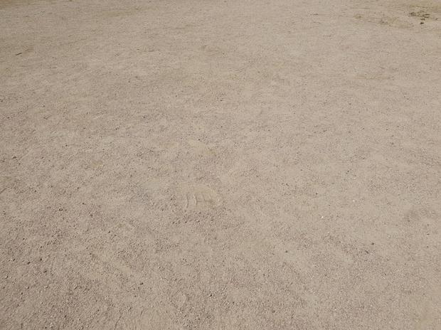 ⚽ 경기 어린이집 운동장 라인 포인트 제거: 전문적인 시공으로 안전하고 깨끗한 공간 만들기 관련 이미지