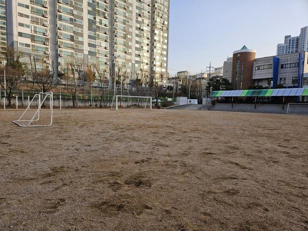 가평초등학교 운동장 다짐, 케이스터디움으로 튼튼한 시설 만들고! 관련 이미지