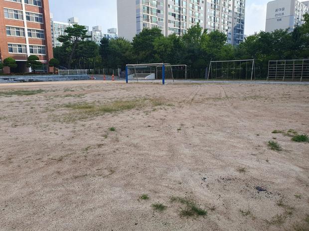 가평중학교 운동장 라인 포인트 제거: 전문 시공으로 안전하고 효율적인 운동장 구축! 관련 이미지