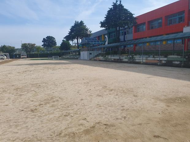 가평병설유치원운동장 잔디 제거, 이렇게 해결하면 완벽! 케이스터디움 전문 시공 관련 이미지