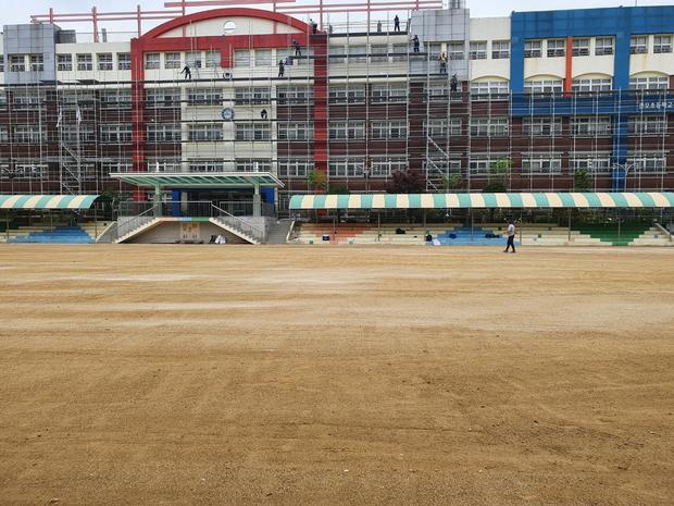 가평어린이집운동장, 케이스터디움으로 혁신적인  "제초작업"! 관련 이미지
