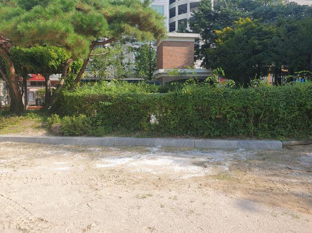 가평어린이집운동장 라인 포인트 제거: 전문 시공으로 깨끗한 운동장 만들기! 관련 이미지
