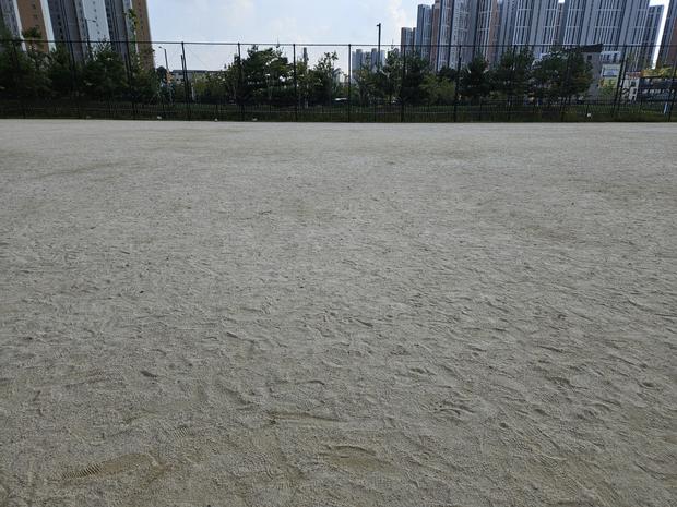 광주초등학교 운동장 잔디 정비, 케이스터디움으로 건강한 놀이 공간 만들어봐! 관련 이미지