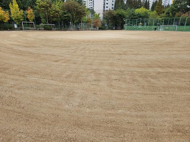 광주초등학교 운동장 천일염 살포, 전문 시공으로 안전하고 빛나는 공간 만들어 드립니다! 관련 이미지