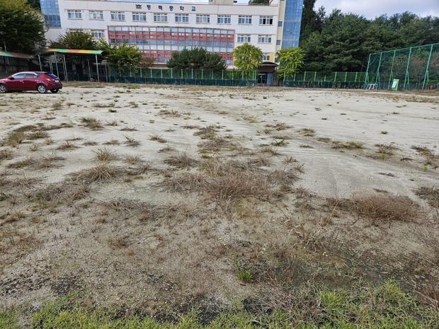 광주초등학교 운동장 바브켓, 케이스터디움 전문가로 완벽하게 건설! 관련 이미지