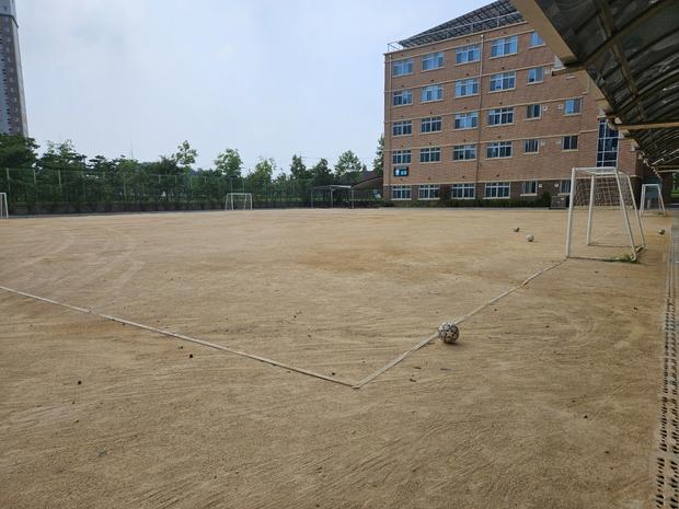 광주초등학교 운동장 잡초 제거, 전문 시공으로 완벽하게! 관련 이미지