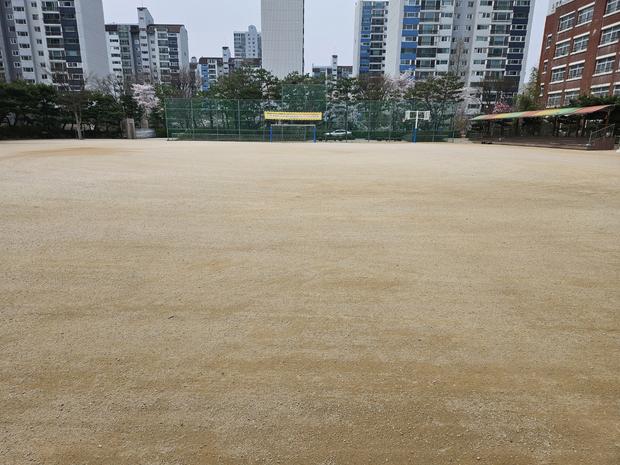 광주중학교 운동장 소금살포, 케이스터디움 전문가로 걱정 끝! 관련 이미지