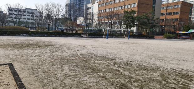 양구초등학교 운동장 소금살포 |  전문 케이스터디움, 깨끗하고 안전한 놀이터 만들어 ... 관련 이미지
