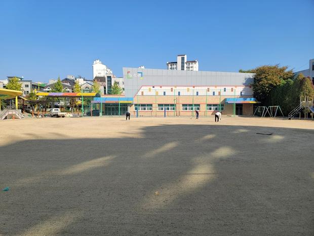 양구고등학교 운동장 관리, 전문가 케이스터디움으로 쾌적한 공간 만들어보세요! 관련 이미지