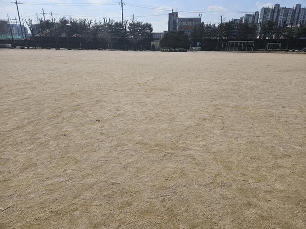 양구고등학교 운동장 천일염 방지, 케이스터디움 전문가의 안전 & 효율성! 관련 이미지