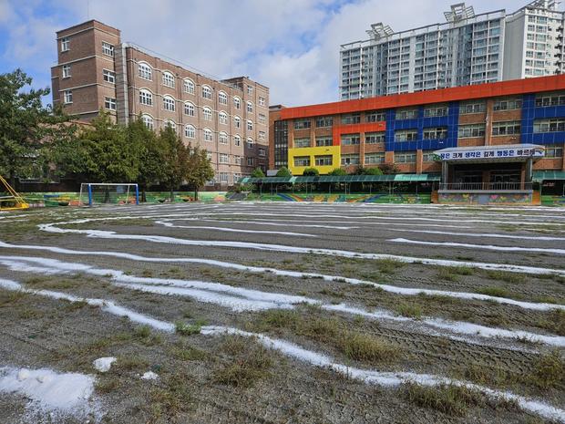 안성초등학교 운동장 마사토 충진공사, 잔존 문제로 인한 손실 방지! 케이스터디움 전문 시공 관련 이미지